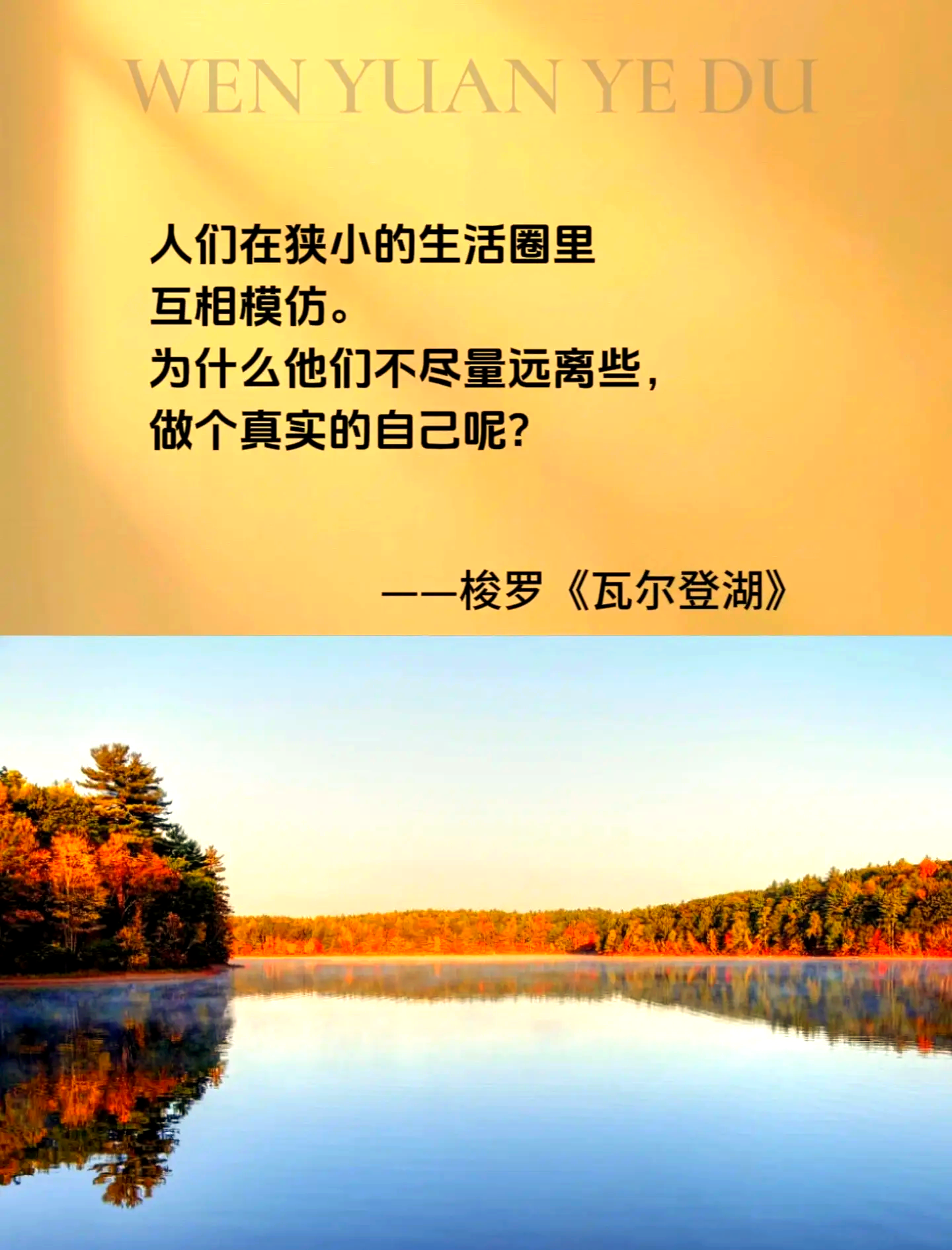 何尔登效应(波尔效应和何尔登效应有何生理意义)